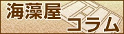 �C�����R����
